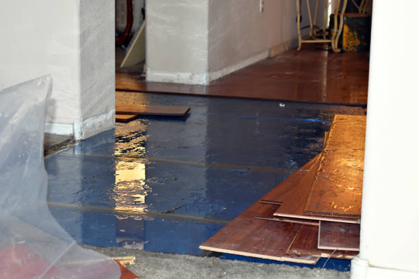 Professional Basement Flood Cleanup technician working in Doon, IA